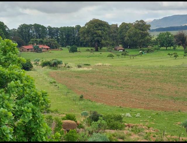 FARM FOR SALE IN ROOSSENEKAL AH